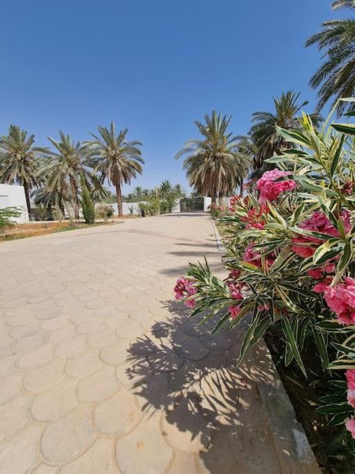 Dar Jamila - Au Coeur De L'Oasis - Villa Gabes Exterior photo